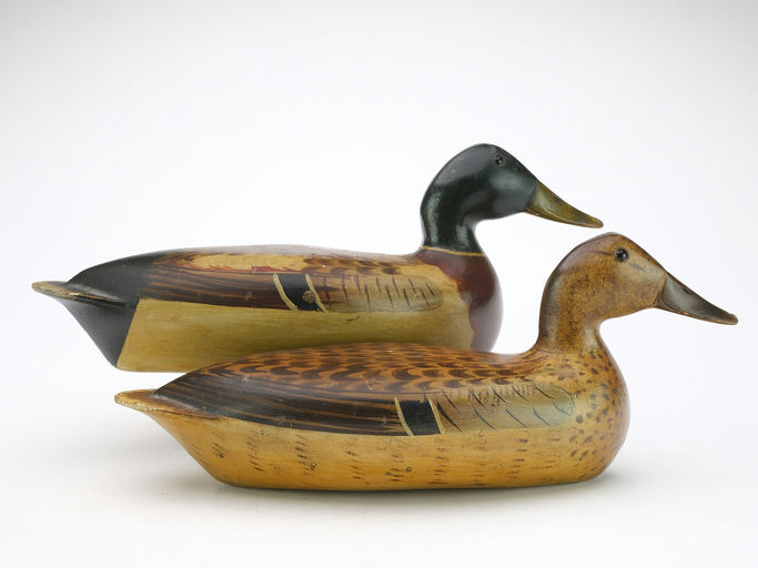 Bert Graves – Mallard – 2024