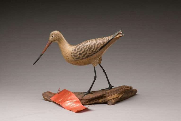Lawrence McLaughlin – Marbled Godwit – 2010