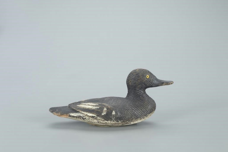 Samuel R. Hutchings – Cross-Hatched Goldeneye – 2022