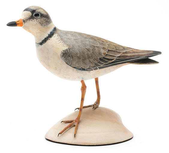 Bill Gibian – Plover – 2026