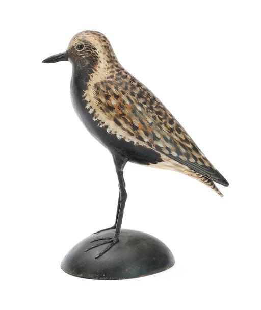 Elmer Crowell – Black Bellied Plover – 2025