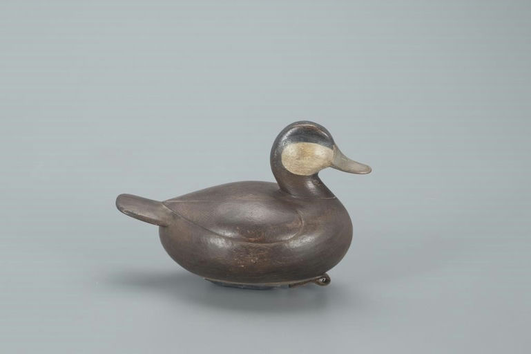 Mark McNair – Ruddy Duck – 2022