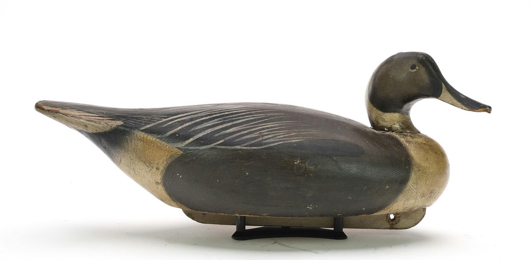 Ward Brothers – Pintail – 2024