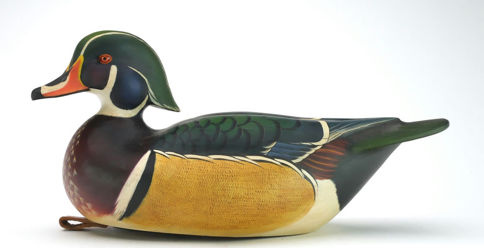 Ben A. Heinemann – Wood Duck – 2024