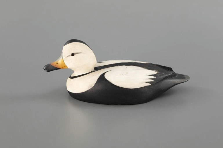 David W. Nichol – Labrador Duck – 2025