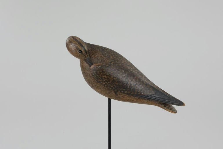 Mark McNair – Tucked-Bill Curlew – 2026