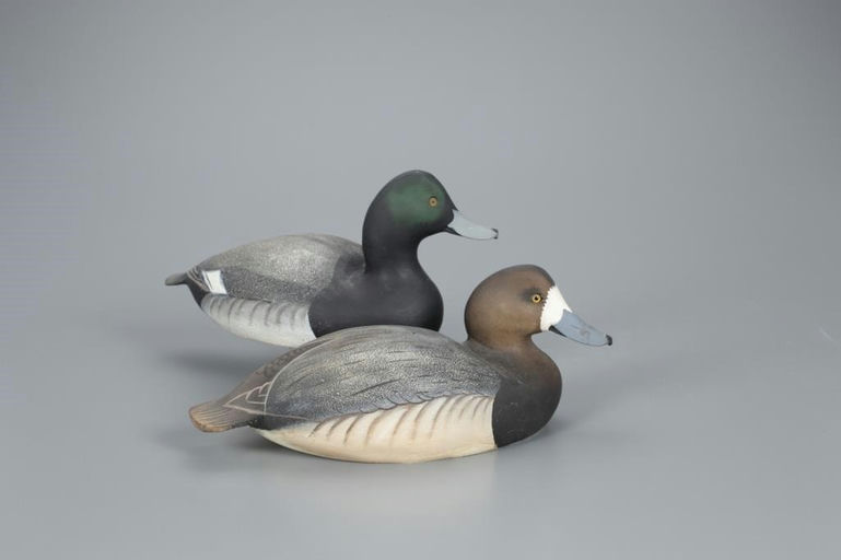 Ward Brothers – Bluebill Pair – 2020