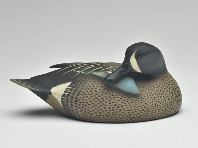 Jim Schmiedlin – Preening Blue-winged Teal – 2023