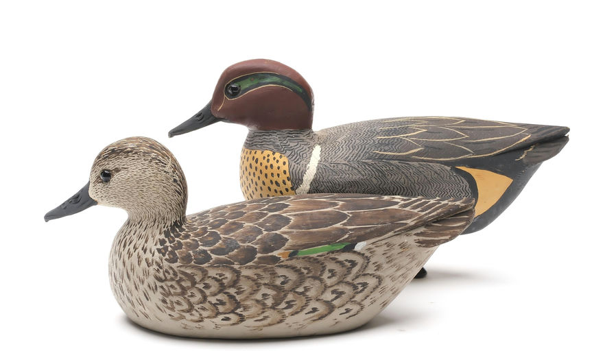 Grayson Chesser – Pair of Green-winged Teal – 2026