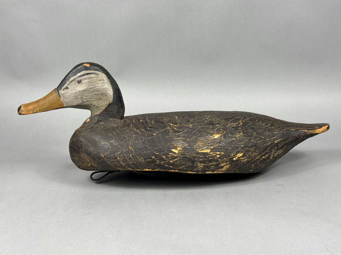 Miles Hancock – Black Duck – 2026