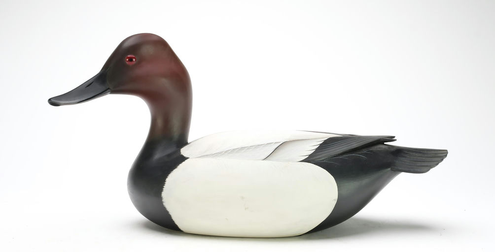 George Strunk – Canvasback – 2025
