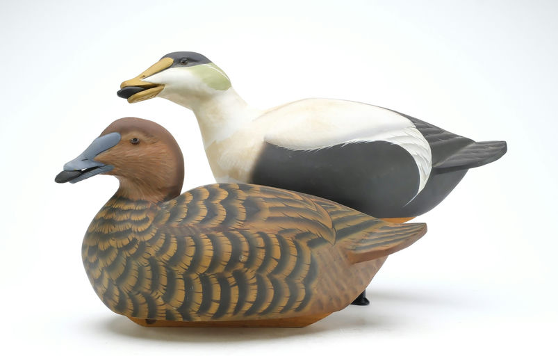 Steve Brettell – Eider – 2025