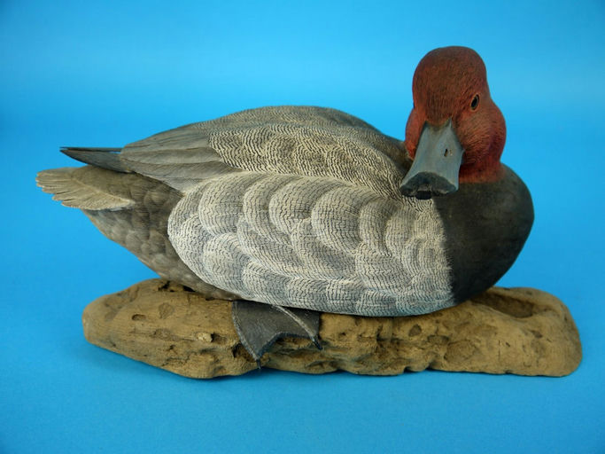 Harry McChesney – Redhead Drake – 2026