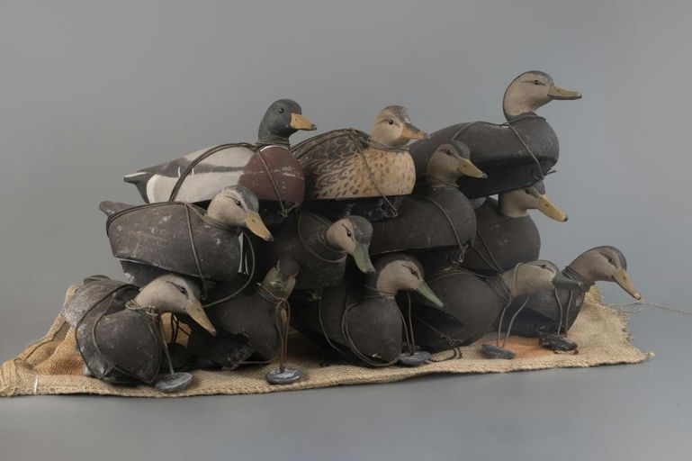 Cameron McIntyre – Rig of Twelve Gunning Decoys – 2025