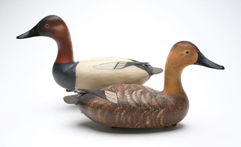 Bob White – Pair of Canvasback – 2026