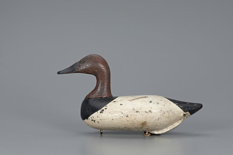 Bob McGaw – High-Head Canvasback Drake – 2019