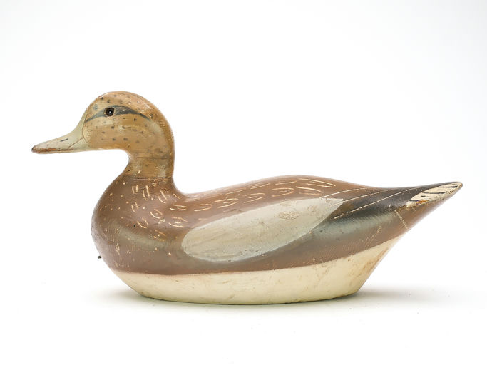 Charles Bergman – Wigeon – 2025