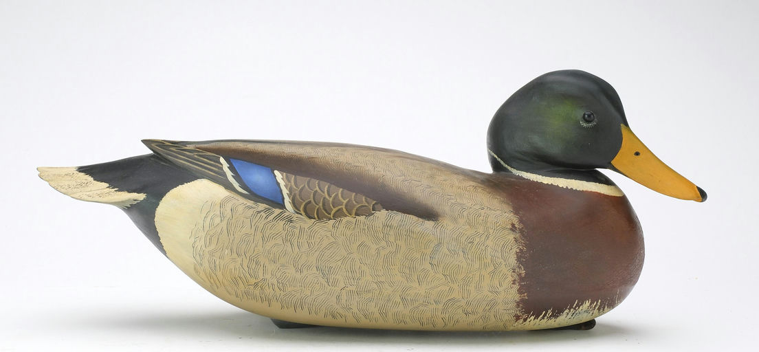 Bob White – Mallard – 2024