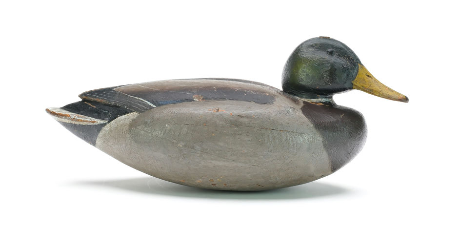 Enoch Reindahl – Mallard – 2025