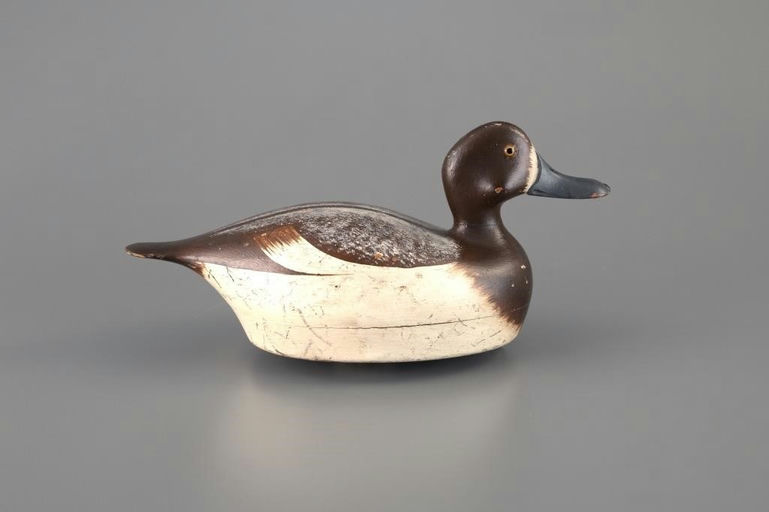 Paul Lipke – Bluebill Hen – 2025