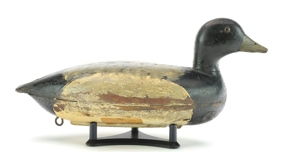 Charles Schoenheider, Sr. – Scaup – 2024