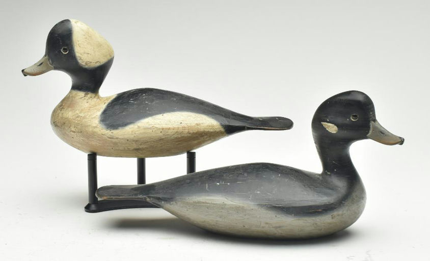 Pete Peterson – Pair of Bufflehead – 2023