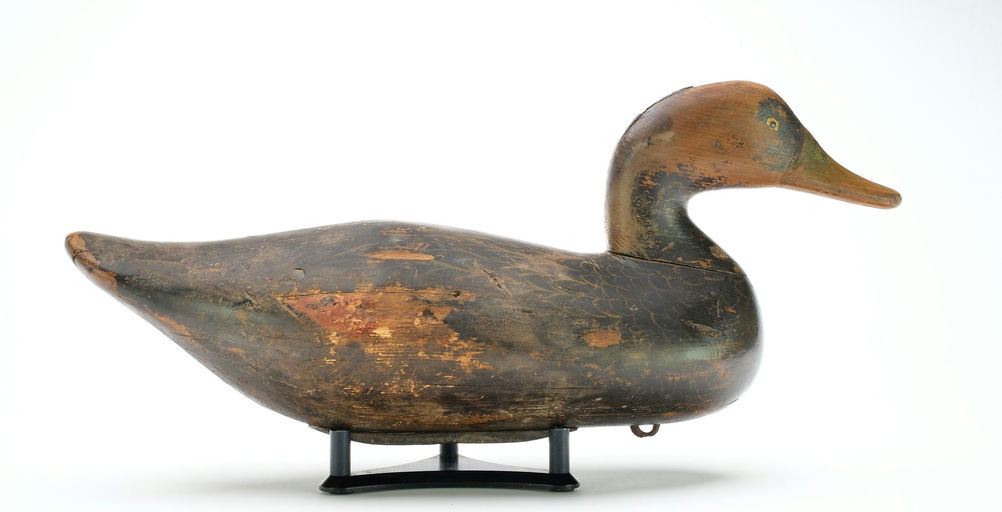 Bob McGaw – Black Duck – 2025