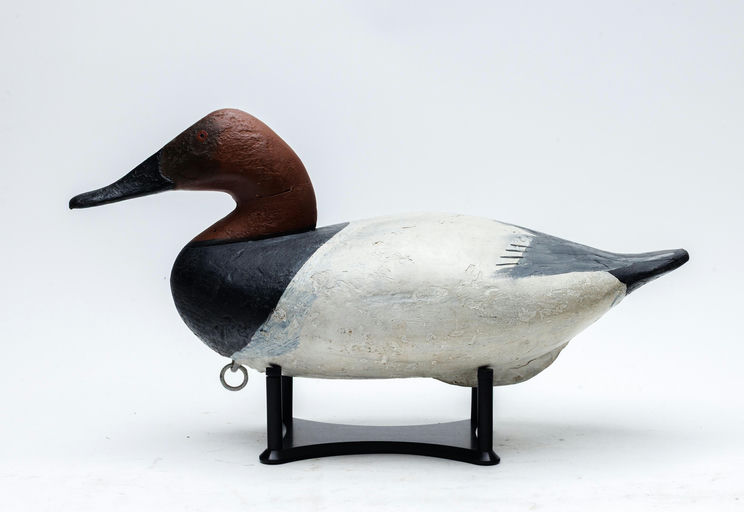 W. Scott Jackson – Canvasback – 2026