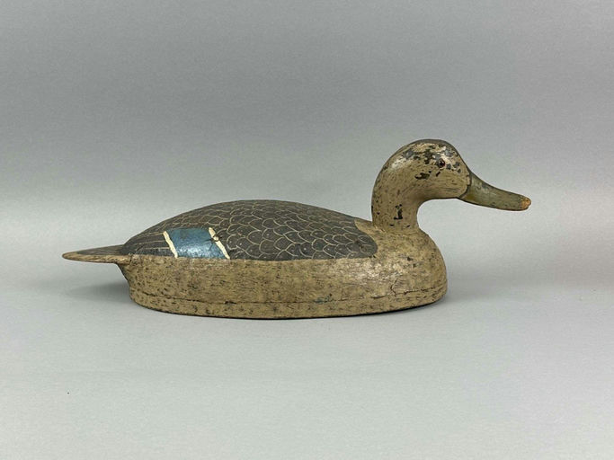 Joe Gigl – Mallard Hen Duck – 2026