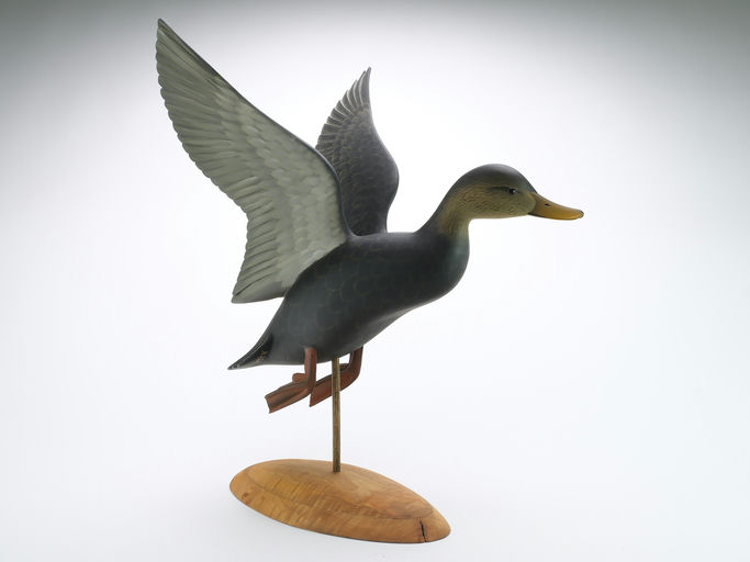 George Strunk – Black Duck – 2024