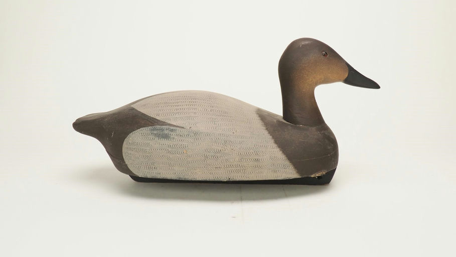 Ken Harris – Canvasback Hen – 2024