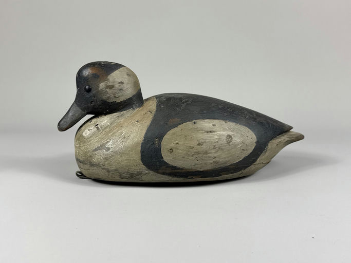 Reggie Birch – Bufflehead – 2026