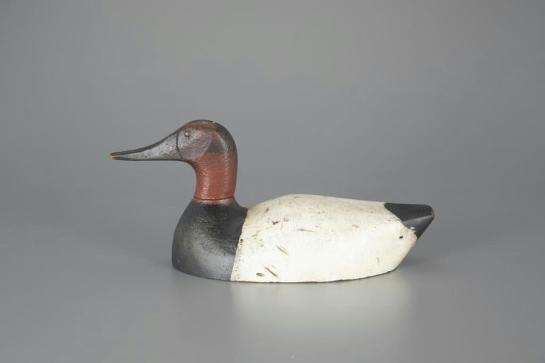 Gottlieb Schmid – Canvasback – 2024