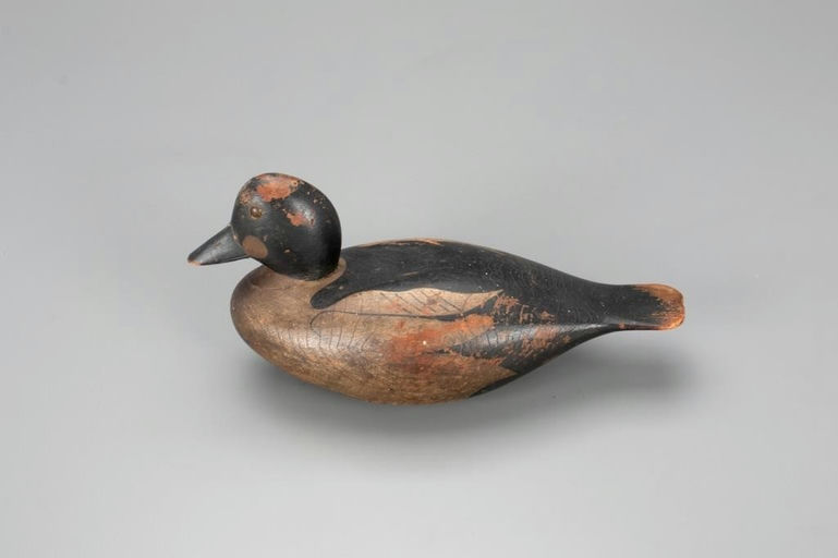 Joseph Lincoln – Early Goldeneye Drake – 2021