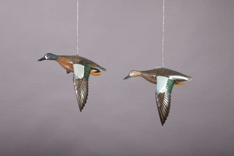 Mike Borrett – Blue-Winged Teal Pair – 2013
