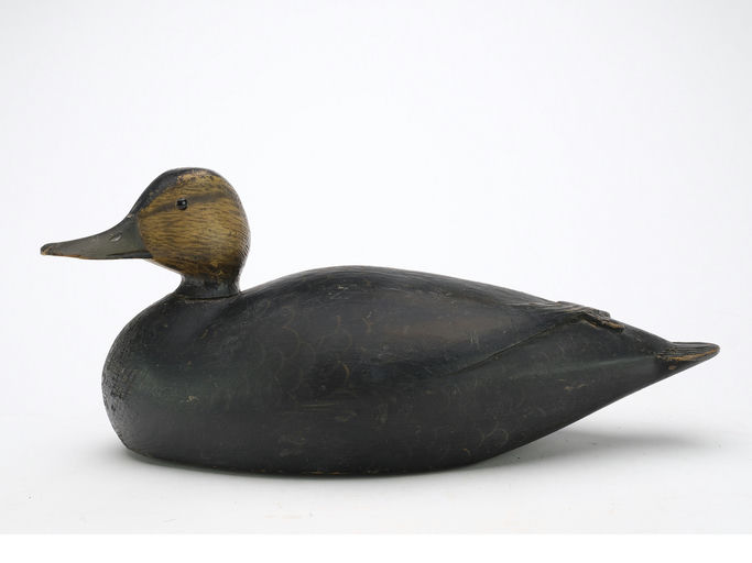 Elmer Crowell – Black Duck – 2024