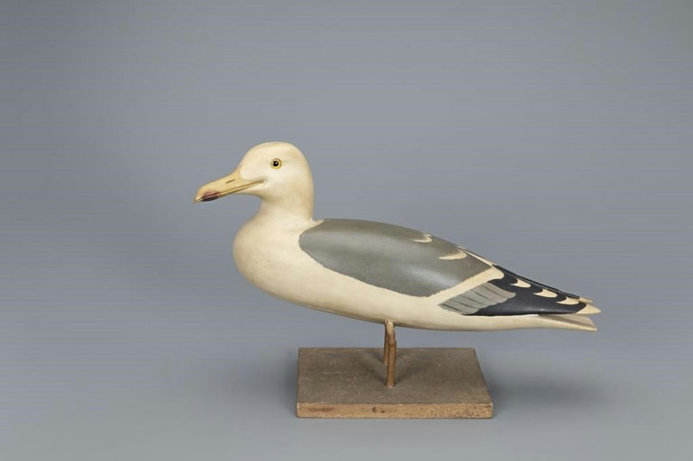 Shang Wheeler – The Wheeler Gull – 2019