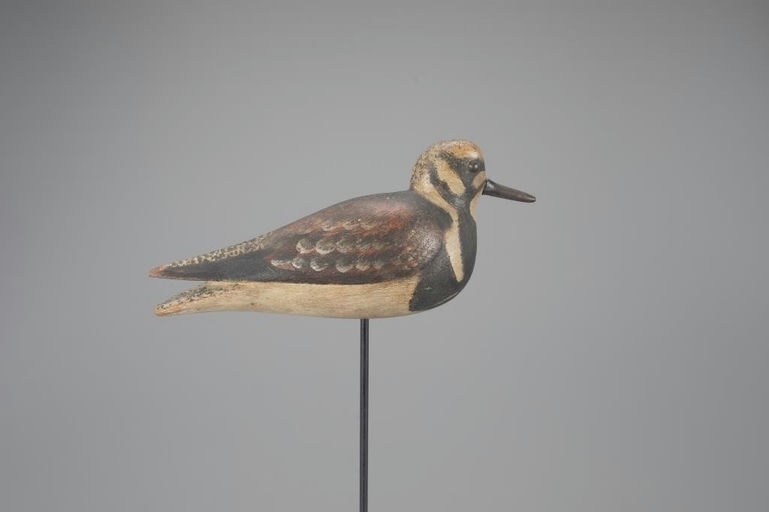 Mark McNair – Ruddy Turnstone – 2024