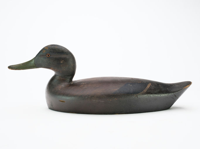 Chauncey Wheeler – Black Duck – 2025