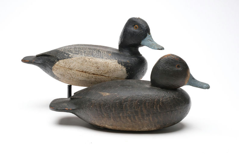 Enoch Reindahl – Pair of Bluebill – 2026