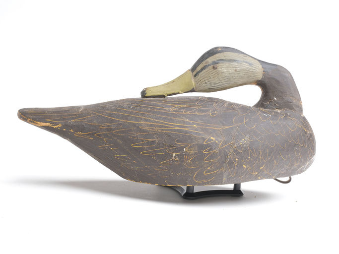 Miles Hancock – Black Duck – 2023