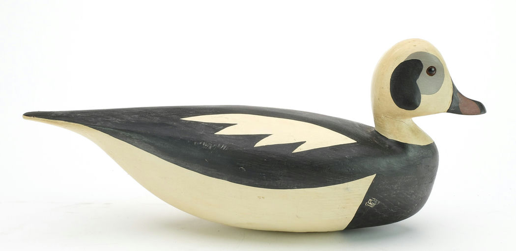 Jamie Hand – Long Tail Duck – 2024
