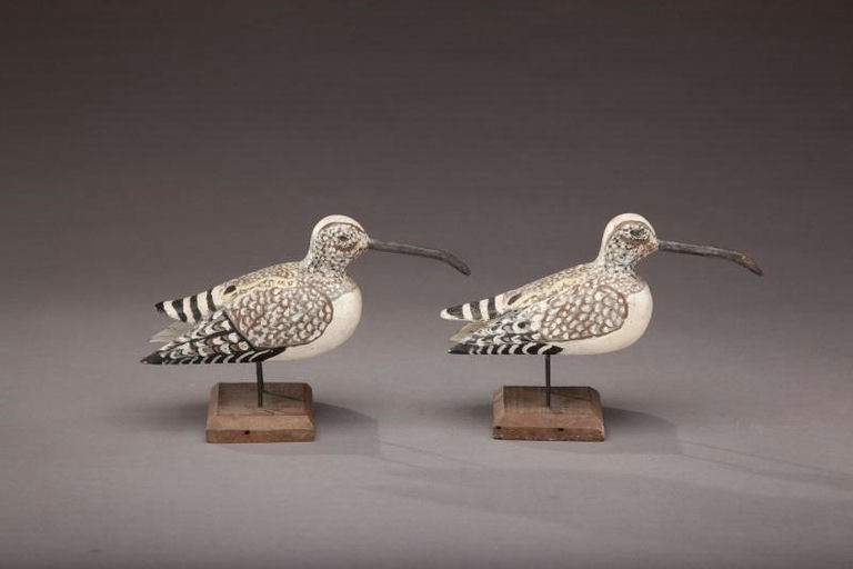 William Henry Bennett – Curlew Sandpipers – 2011