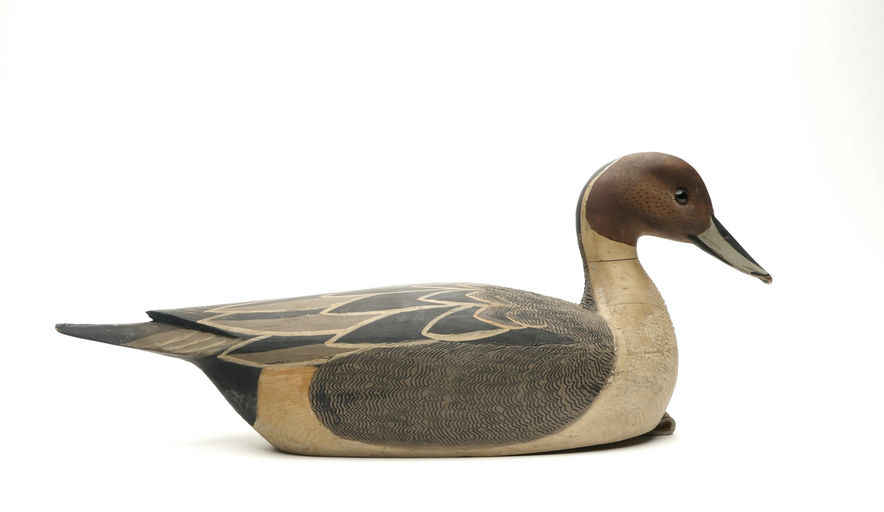 Grayson Chesser – Pintail – 2026