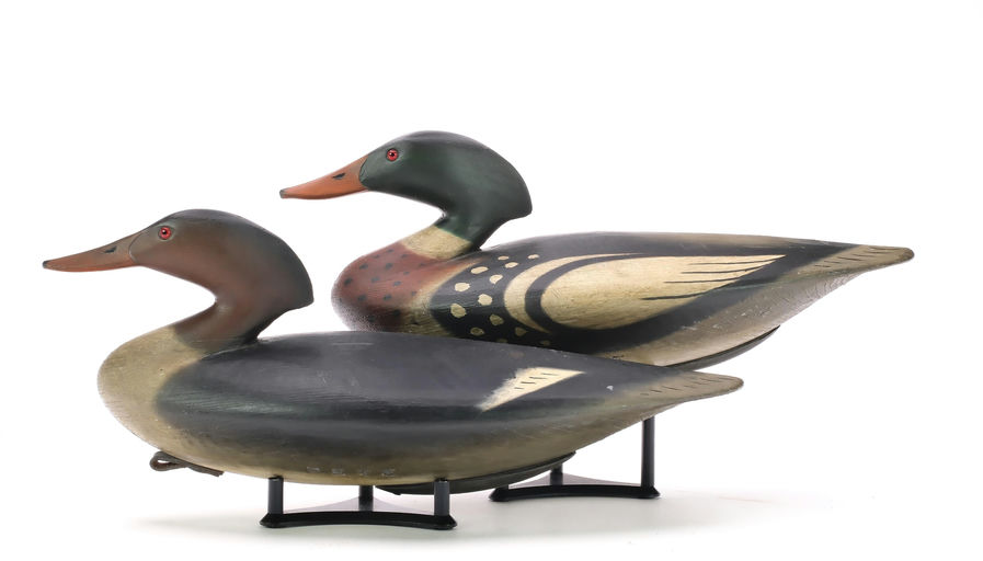 Pete Peterson – Pair of Merganser – 2024