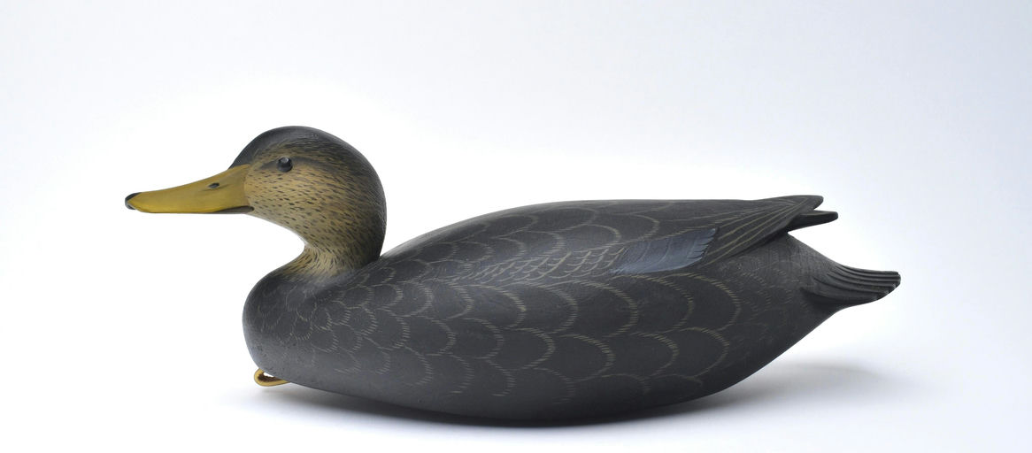 George Strunk – Black Duck – 2025