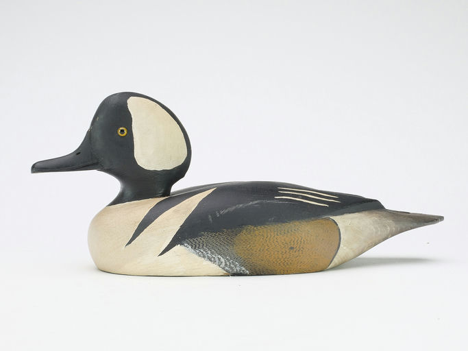 David W. Nichol – Hooded Merganser – 2024