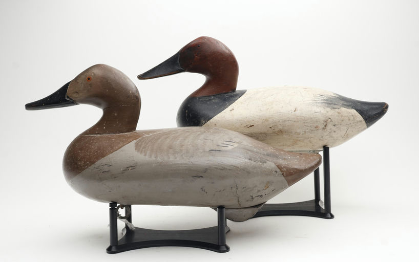 R. Madison Mitchell – Pair of Canvasback – 2026