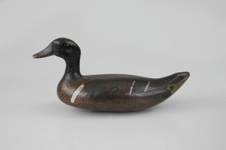 Oscar Murphy – Green-winged Teal – 2026