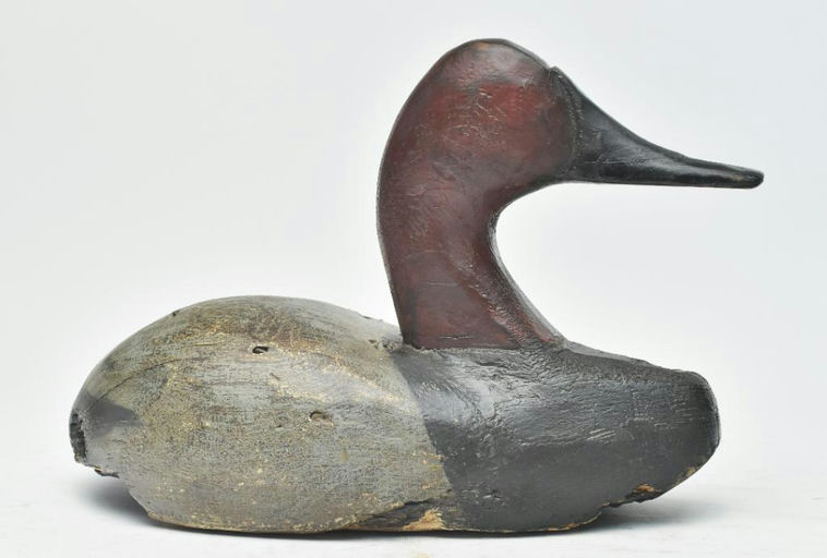 Duncan Ducharme – Canvasback – 2023